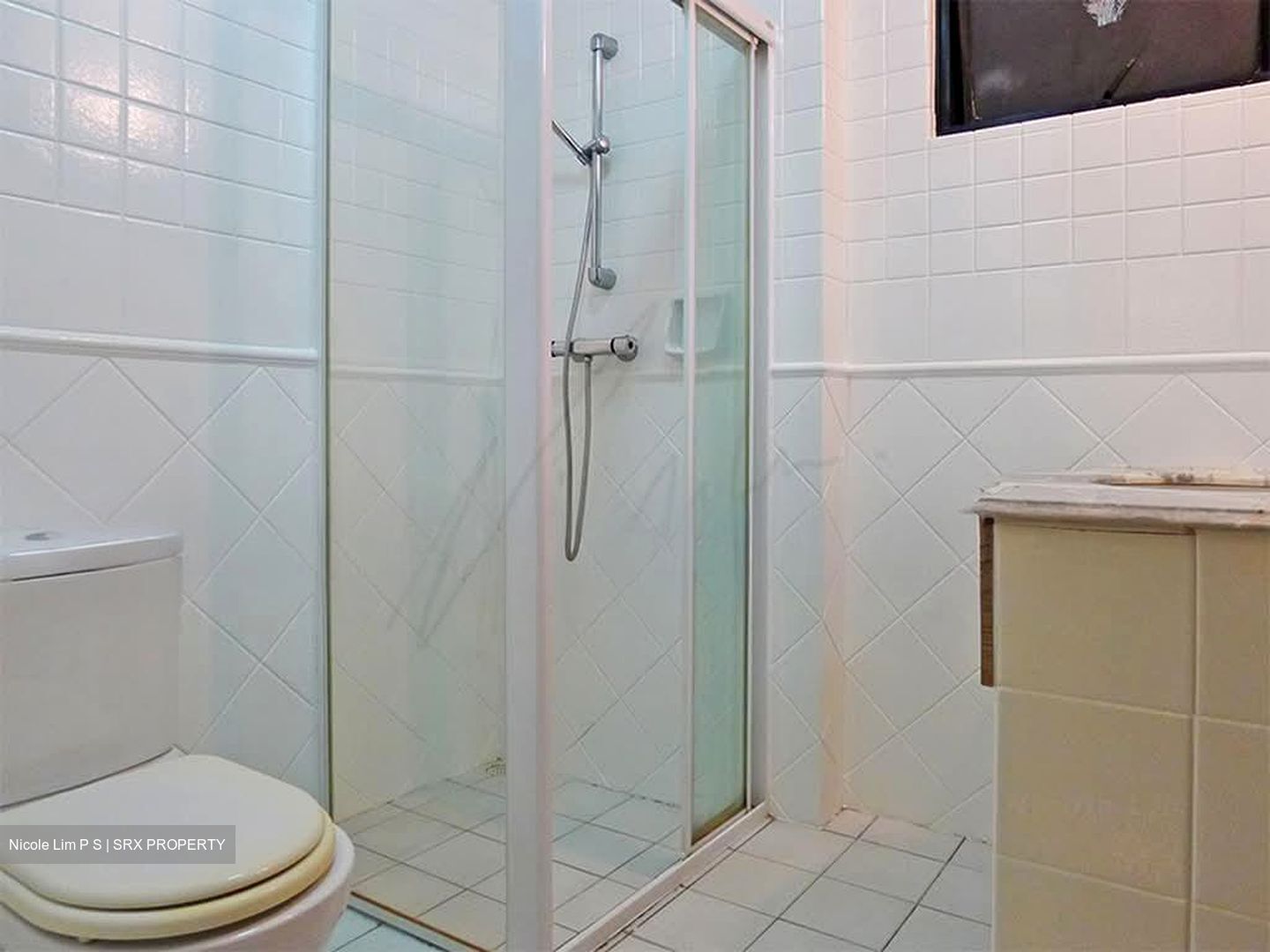 Dover Parkview (D5), Condominium #602070561